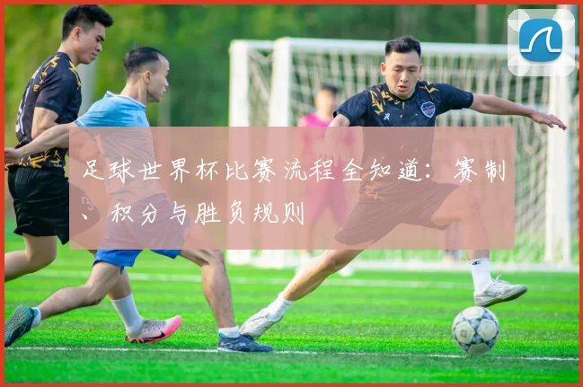 足球世界杯比赛流程全知道:赛制、积分与胜负规则