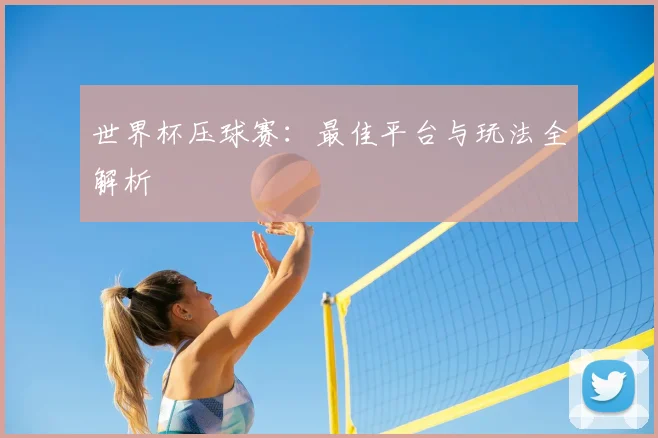 世界杯压球赛:最佳平台与玩法全解析