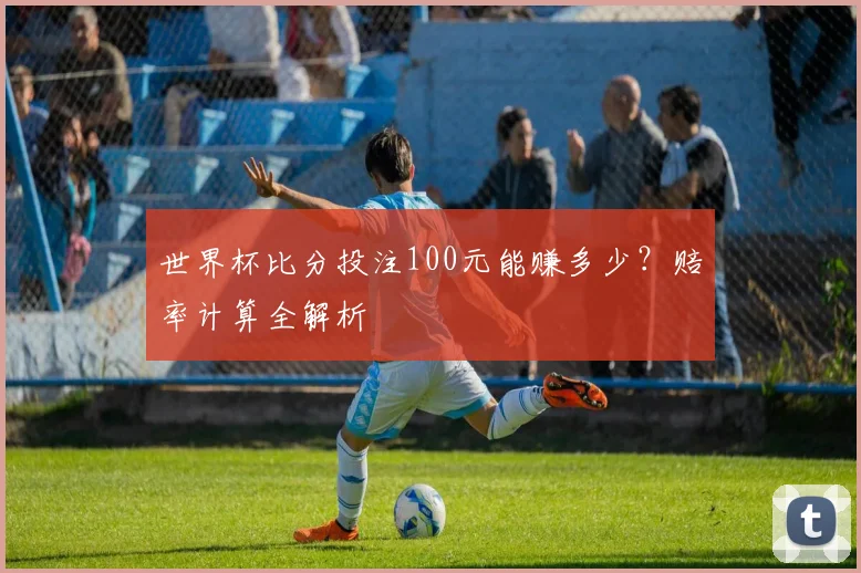 世界杯比分投注100元能赚多少？赔率计算全解析
