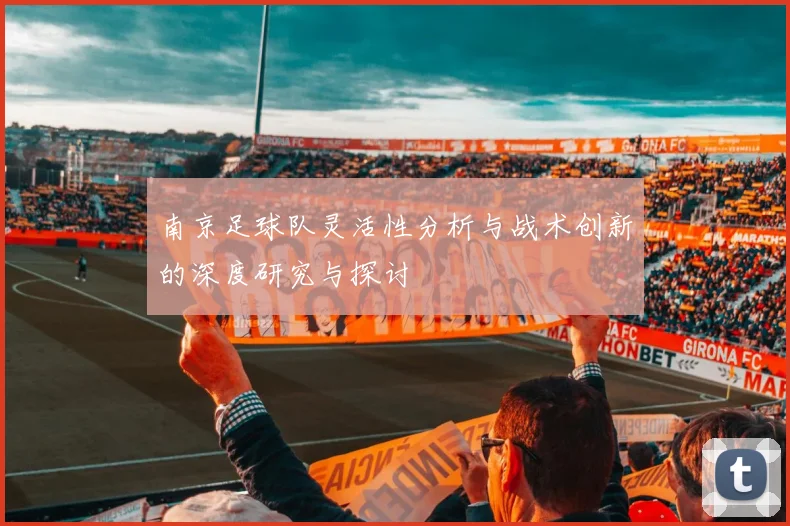 南京足球队灵活性分析与战术创新的深度研究与探讨