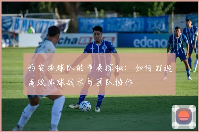 西安排球队的节奏探秘：如何打造高效排球战术与团队协作
