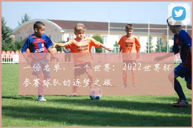 一份名单，一个世界：2022世界杯参赛球队的逐梦之旅